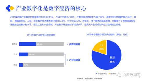 2020产业互联网发展报告 网络开发的机遇与挑战